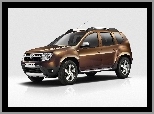 Dacia Duster, Antena