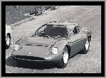 Opony, Abarth 1300, Wycieraczka